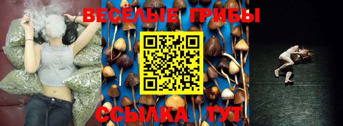 Псилоцибиновые грибы MAGIC MUSHROOMS Феодосия